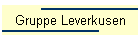 Gruppe Leverkusen